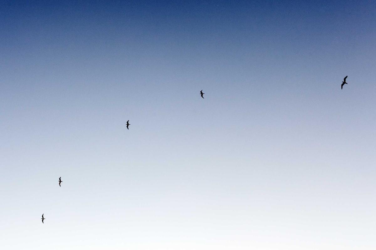 Sample photo